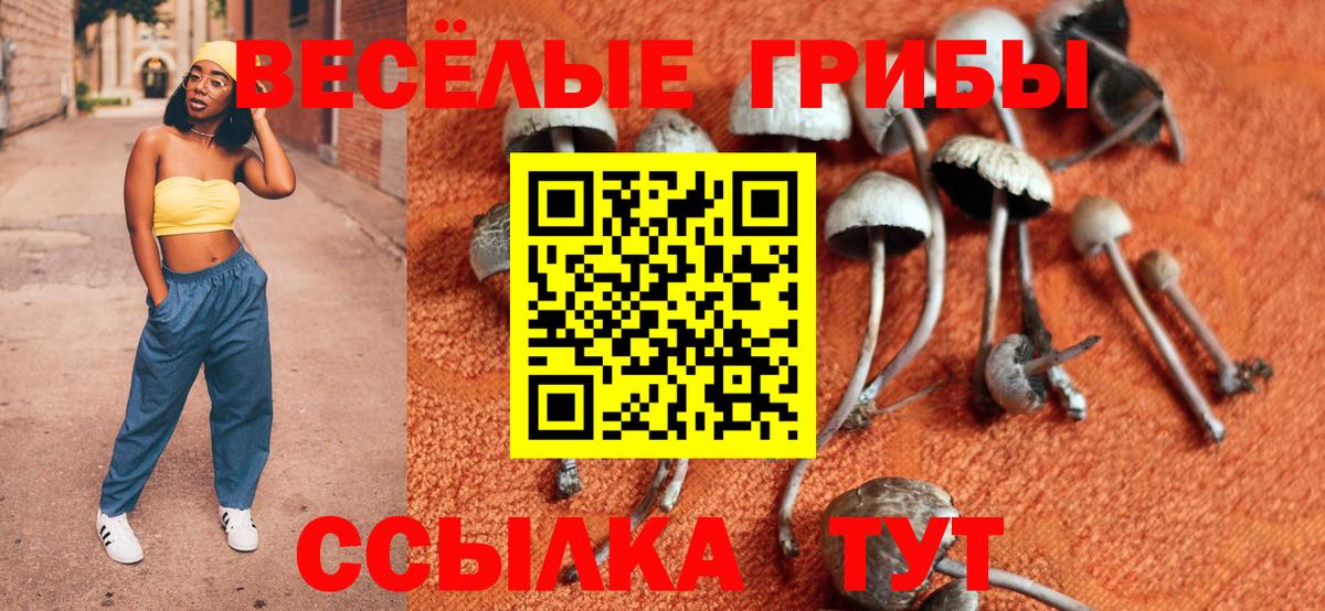 Сатка  Галлюциногенные грибы Magic Shrooms  Вход с VPN 